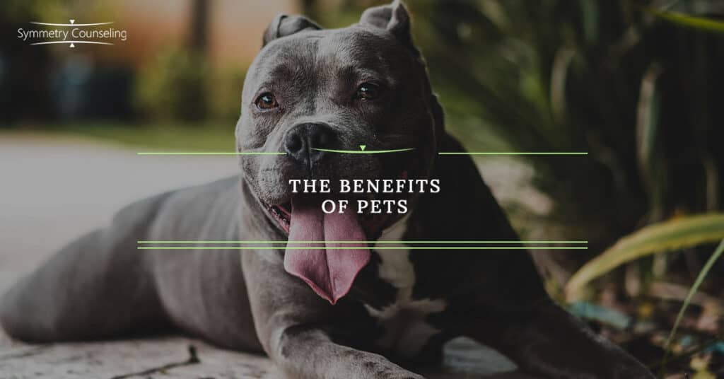 SC BB The Benefits of Pets 5a09bdb27ec58
