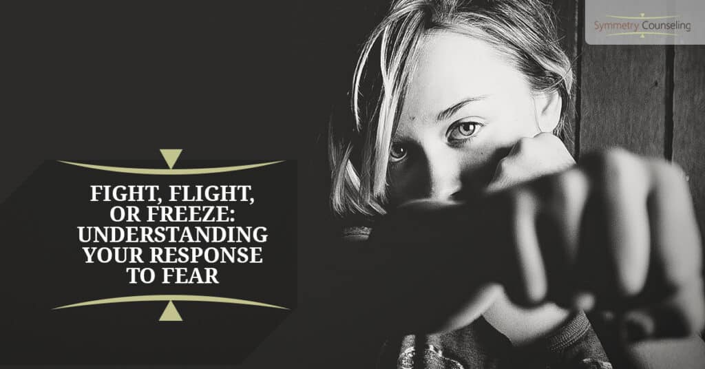 Fight Flight or Freeze Understanding Your Response To Fear 5a958753c1ac1