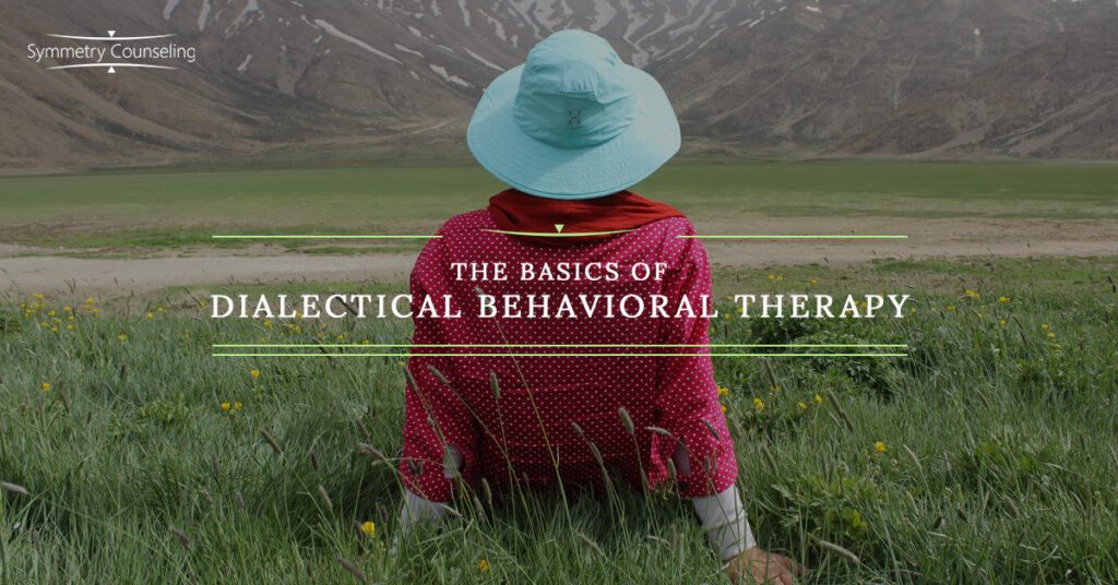 The Basics of Dialectical Behavioral Therapy 5b86ba97c0088