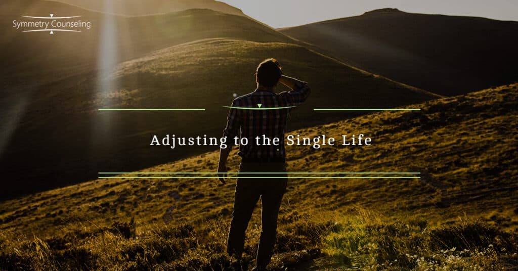 Adjusting to the Single Life 5c09a8403d480