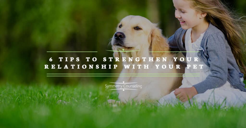BB 6 Tips to Strengthen Your Relationship with Your Pet 5c0558a9499f3