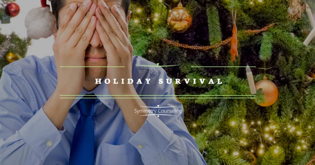 Holiday Survival 5c25441b9bd02