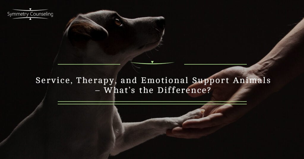 Service Therapy and Emotional Support Animals 5c5b28341aa56