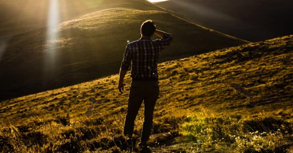 saeed mhmdi 130222 unsplash 1 5d0a6e913d25c