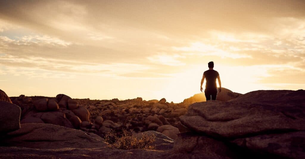 darius bashar y6sA8SM1XBg unsplash 2 5d8a7bb3cbb20