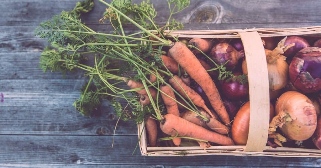 selfcare2 1 5db9dd8f716b7