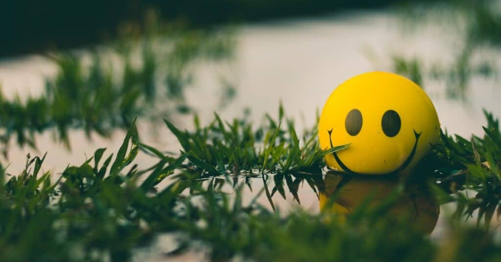 smiley 1 5db9beced72a6