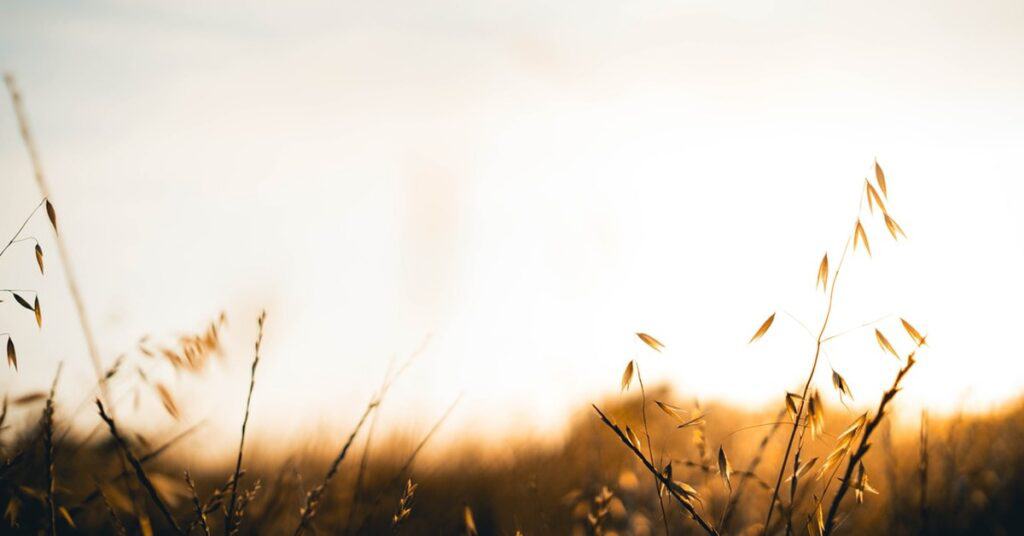 space 1 5e0126f9ad37c