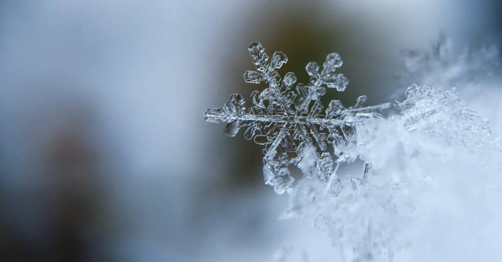 aaron burden 5AiWn2U10cw unsplash 1 5e308f7faaccf