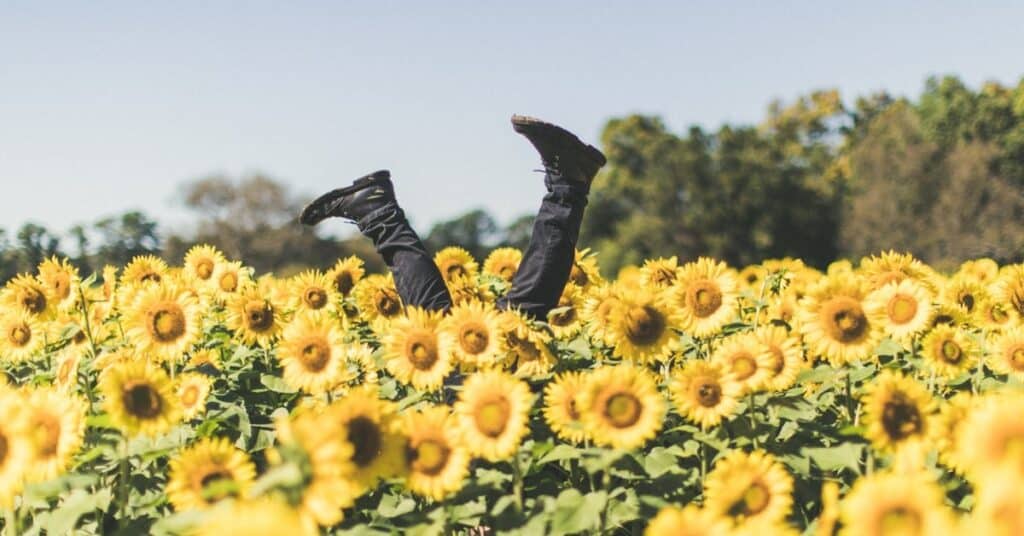 happiness2 1 5e540ccb59071