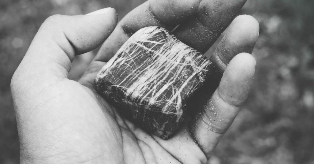 photo 1469006117505 78ac7334ccf2 1 5e53f402985b8