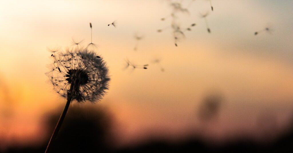 dawid zawila zb2vBaHYB2I unsplash 1 5e73e73394ebe