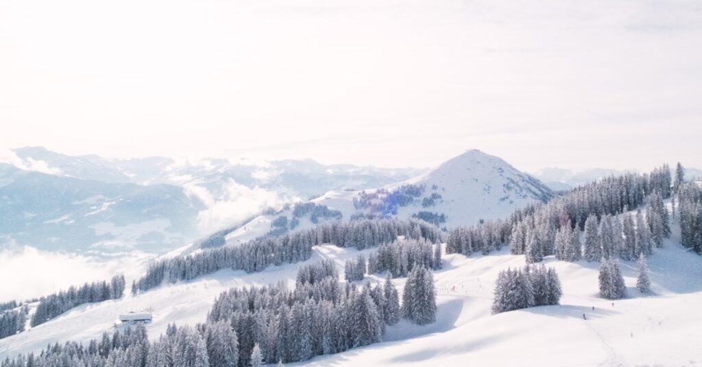 luc van loon ucrtTAfwJTk unsplash 1 5e73d0f5d350d