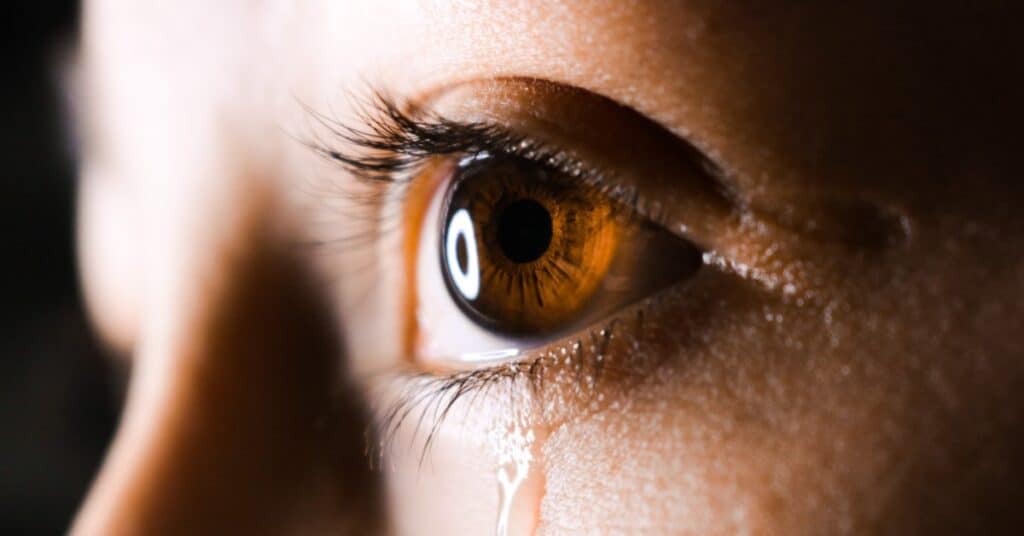 aliyah jamous lQ1hJaV0yLM unsplash 1 5e8411a997d98