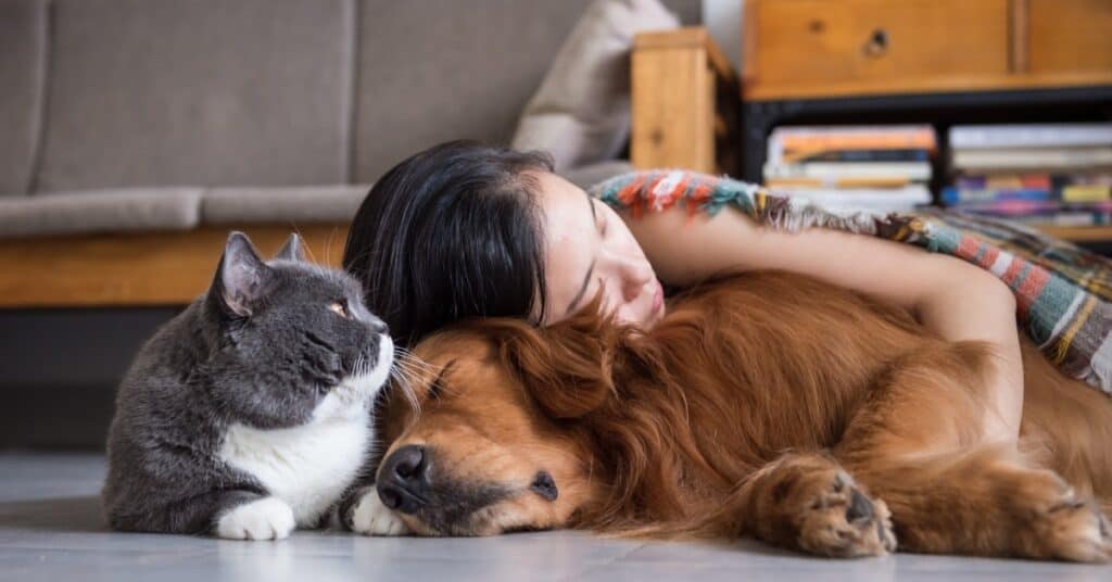 Did You Know that Your Family Dog is in Synch with Your Kids